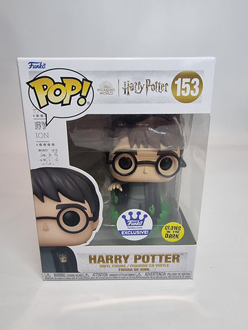 Harry Potter - Harry Potter (153)