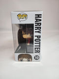 Harry Potter - Harry Potter (10)