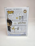 Harry Potter - Harry Potter (147)