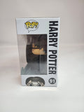 Harry Potter - Harry Potter (91)