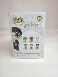 Harry Potter - Harry Potter (91)