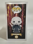 Harry Potter - Lord Voldemort (06)