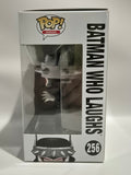 DC Super Heroes - Batman Who Laughs (256)