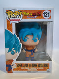 Dragonball Z - Super Saiyan God Super Saiyan Goku (121)