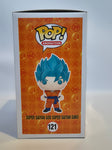 Dragonball Z - Super Saiyan God Super Saiyan Goku (121)