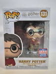 Harry Potter - Harry Potter (131)