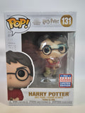 Harry Potter - Harry Potter (131)