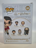 Harry Potter - Harry Potter (131)