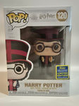 Harry Potter - Harry Potter (120)