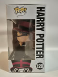Harry Potter - Harry Potter (120)