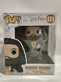 Harry Potter - Rubeus Hagrid (171)