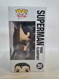 DC Super Heroes - Superman From Flashpoint (251) CHASE