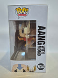 Avatar - Aang with Momo (534)