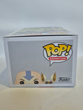 Avatar - Aang with Momo (534)