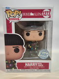 Home Alone - Harry with Lights (1273)