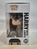 Home Alone - Harry with Lights (1273)