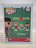 Home Alone - Harry with Lights (1273)
