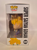 Dragonball Z - Super Saiyan Gohan (509)