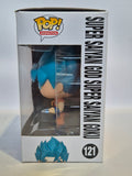 Dragonball Z - Super Saiyan God Super Saiyan Goku (121)