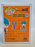 Dragonball Z - Super Saiyan God Super Saiyan Goku (121)