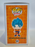 Dragonball Z - Super Saiyan God Super Saiyan Goku (121)