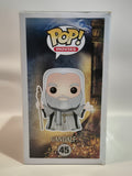 The Hobbit - Gandalf (45)