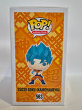Dragonball Z - SSGSS Goku [Kamehameha] (563)