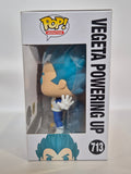 Dragonball Z - Vegeta Powering Up (713)