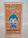 Dragonball Z - Vegeta Powering Up (713)