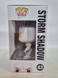 G.I. JOE - Storm Shadow (43)