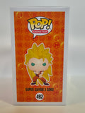 Dragon Ball Z - Super Saiyan 3 Goku (492)