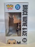 Batman Beyond - Bruce Wayne & Ace (550)